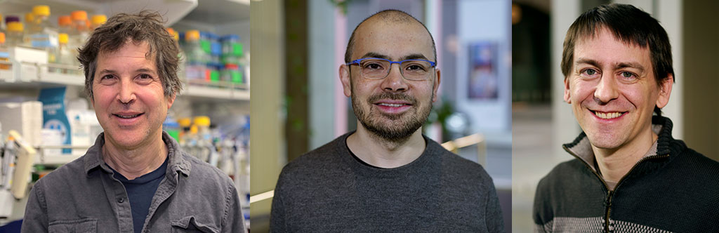 biomedicina-fundacion-bbva