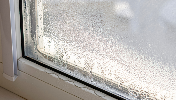 Drops of condensate and black mold on a substandard metal-plastic window Novanor-condensacion