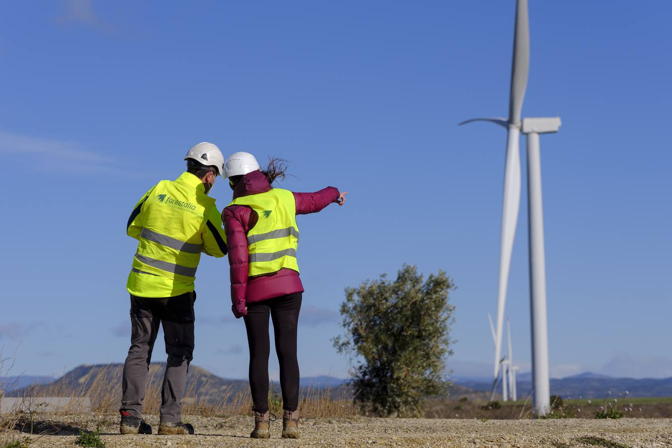 forestalia-energias-renovables2