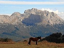 Ruta Udalatx (1.120 m.), Erdikoatxa (1.026 m.), Atxaurrutxugane (979 m.), Pozutxueta (775 m.) y Besaide (555 m.)